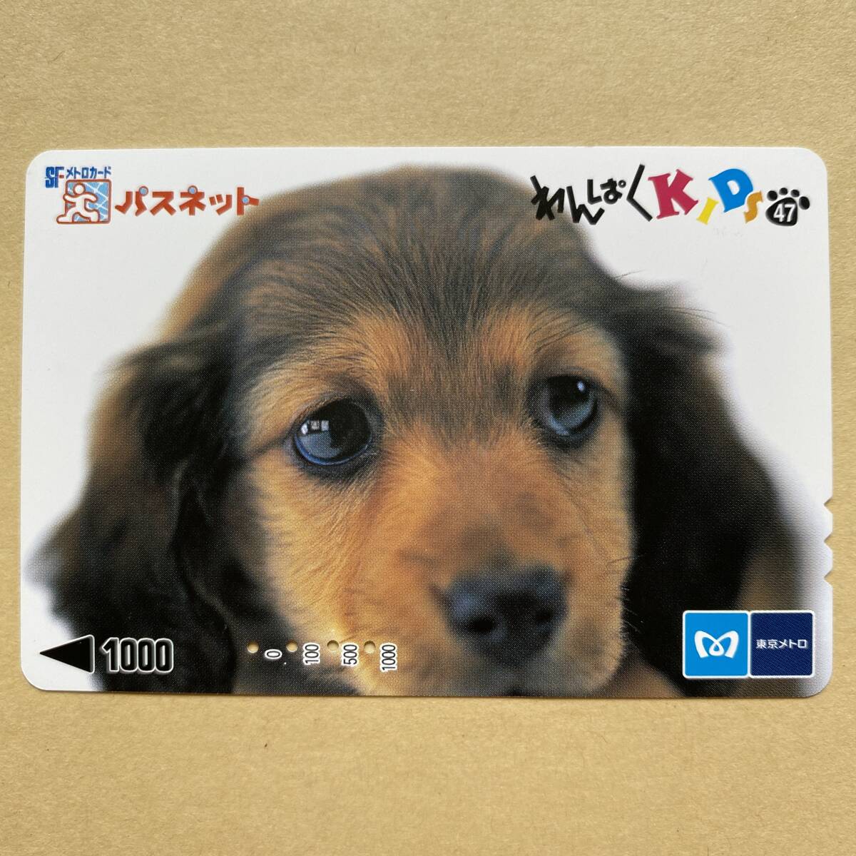 【使用済】 パスネット 営団地下鉄 東京メトロ わんぱくKIDS47 犬_画像1