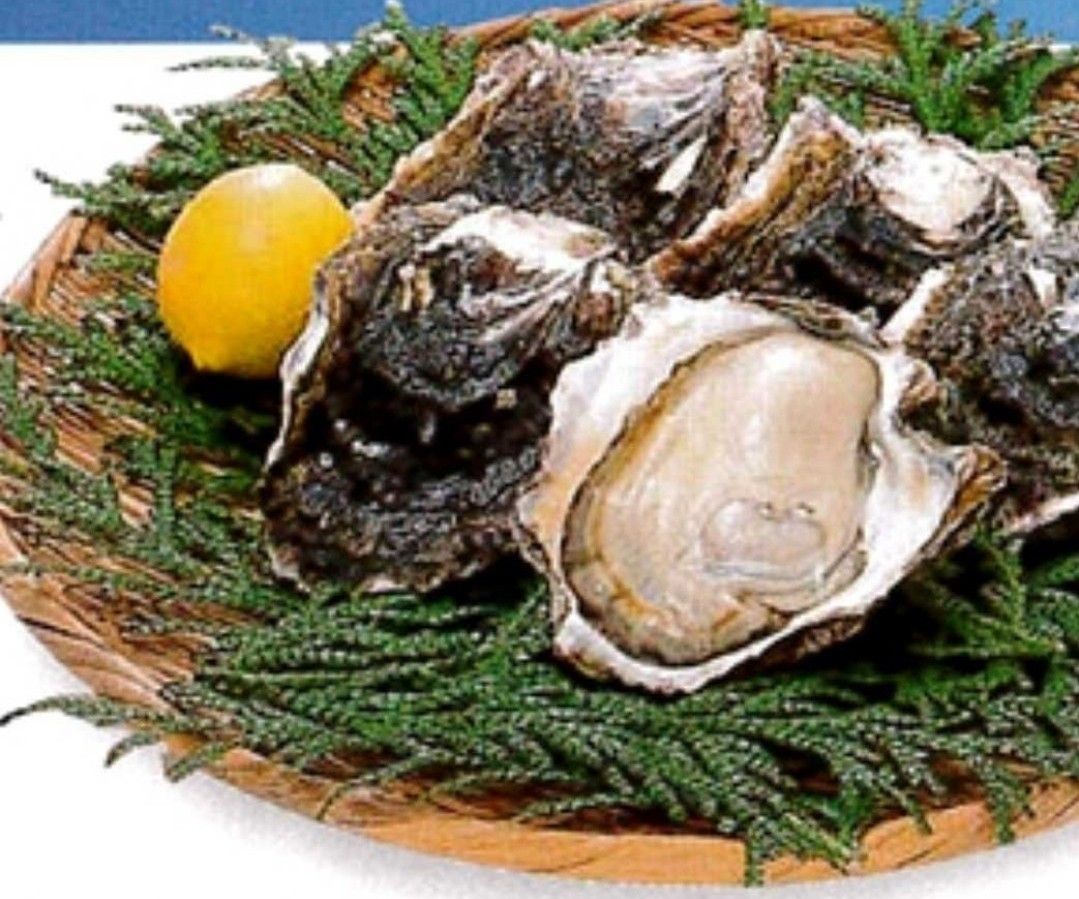 隠岐海士町産 岩牡蠣「春香」LLサイズ（400g以上）5個 約2kg BBQ 焼き肉 誕生日祝 父の日 還暦祝