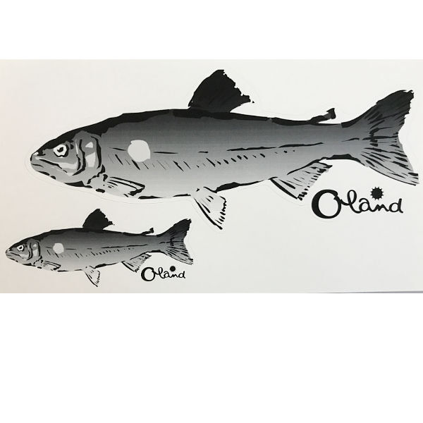 大島製作所 　オーランド『 Oland』 ステッカー 魚 2匹柄 長方形(10×22ｃｍ) 白系 1点 送料無料A_画像3