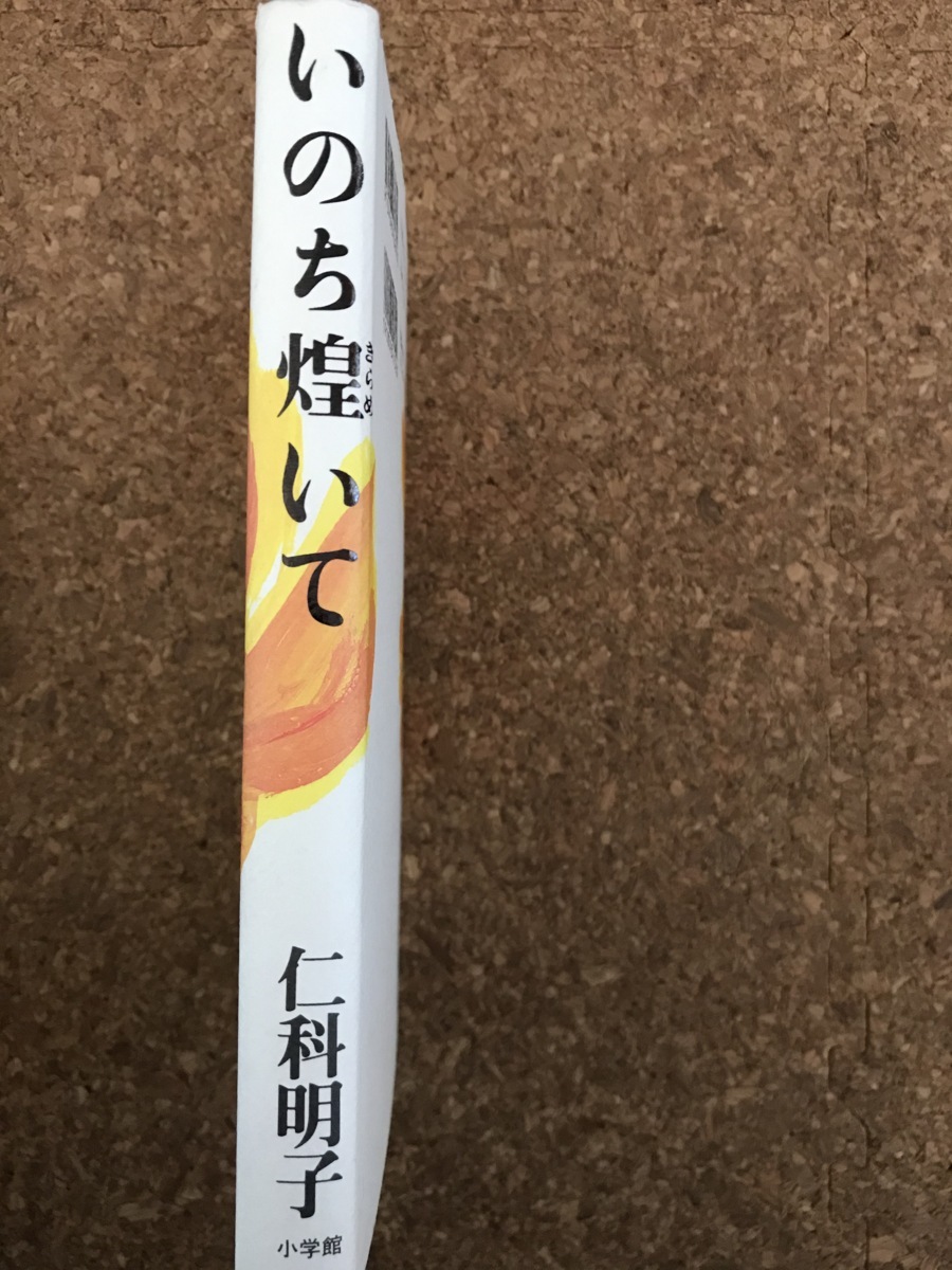 本　BOOK 「 いのち煌めいて 」　仁科明子　小学館　送料無料_画像3