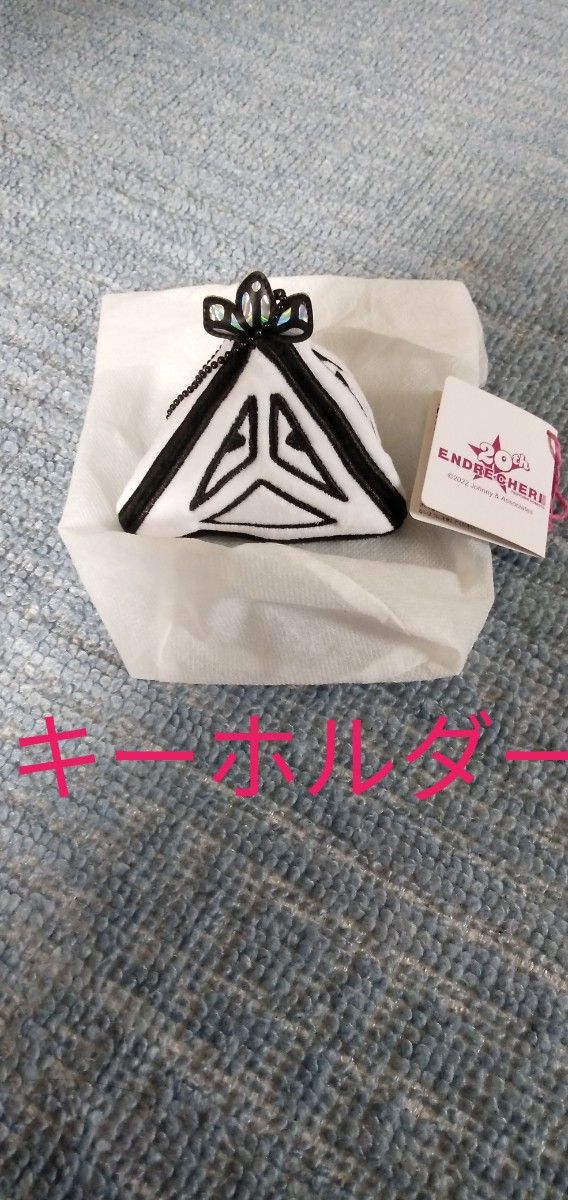 お値段そのまま 一点増やしました 堂本剛 ENDRECHERI お値段そのまま 一点増やしました 堂本剛 ENDRECHERI