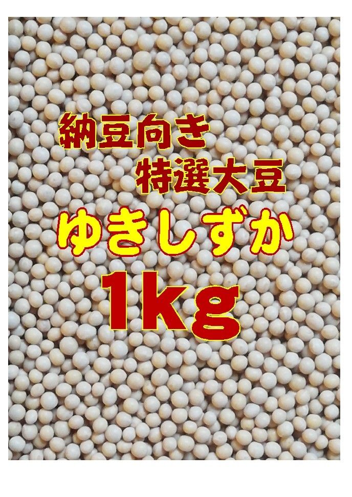 令和5年産 納豆用特選小粒大豆ゆきしずか 1kg  北海道十勝産