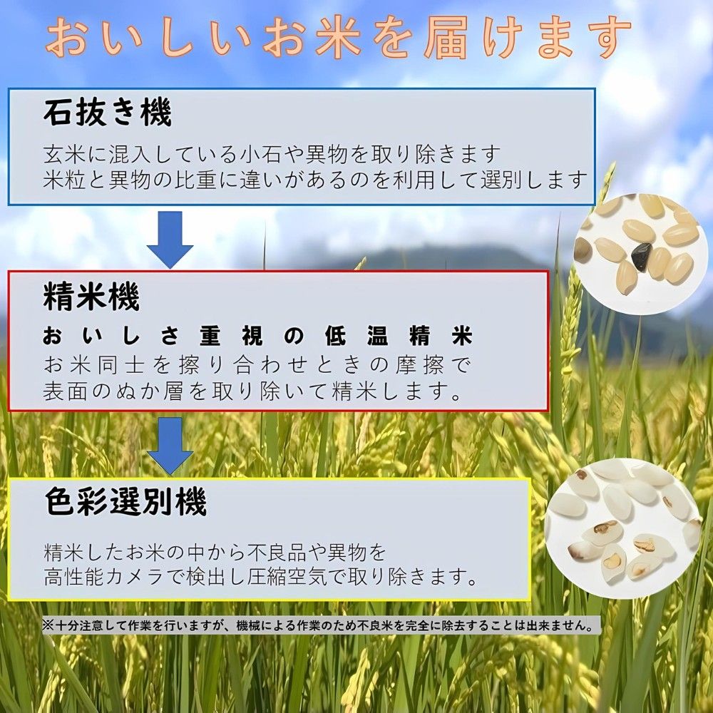 元気つくし 20kg 玄米 5年産 お米