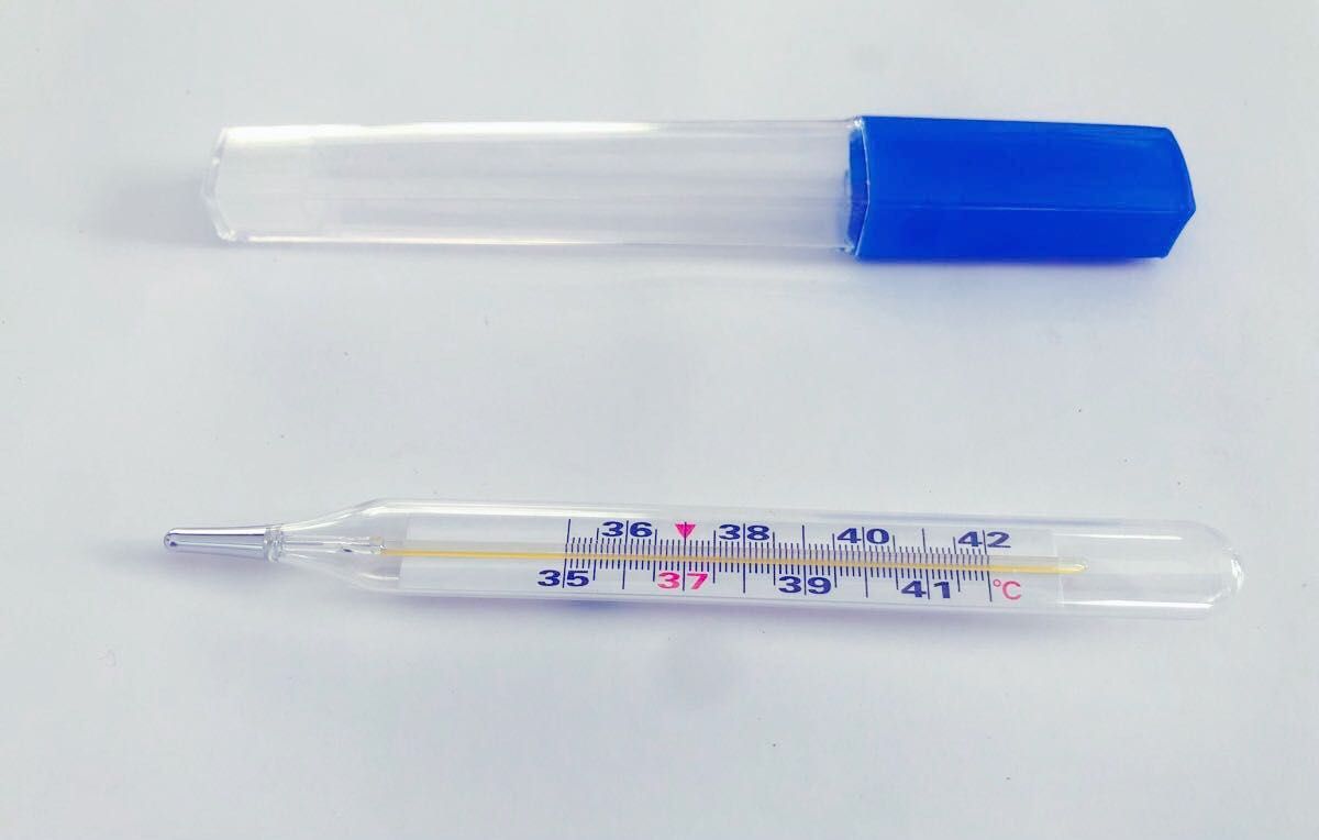 体温計 1本 (水銀体温計)  大きく見やすい　防災用