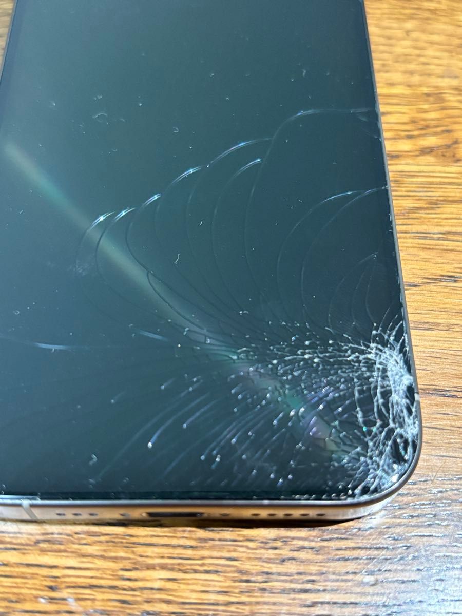 訳あり iPhone 15 Pro 128GB ナチュラルチタニウム シャッター音 訳あり iPhone 15 Pro 128GB ナチュラルチタニウム シャッター音