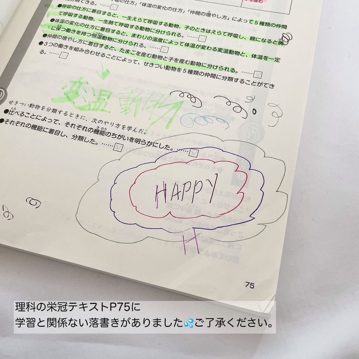 2024年度 日能研 テキスト+副教材 計20点】年内発送12月21日 2024年度 日能研 テキスト+副教材 計20点】年内発送12月21日