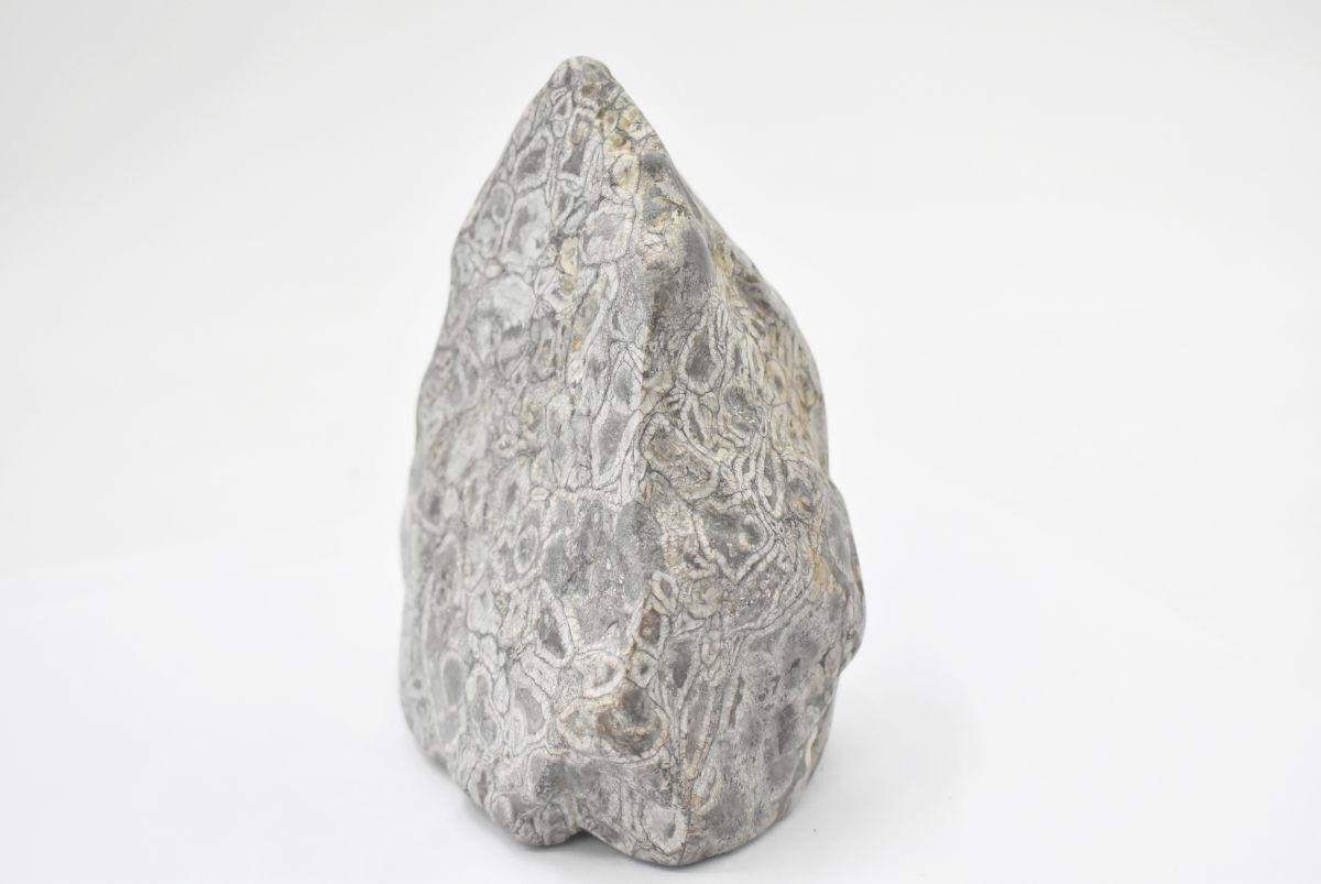 (801S 0515S4) 1 jpy ~ natural stone nature stone suiseki st appreciation stone raw ore antique antique interior objet d'art garden stone 