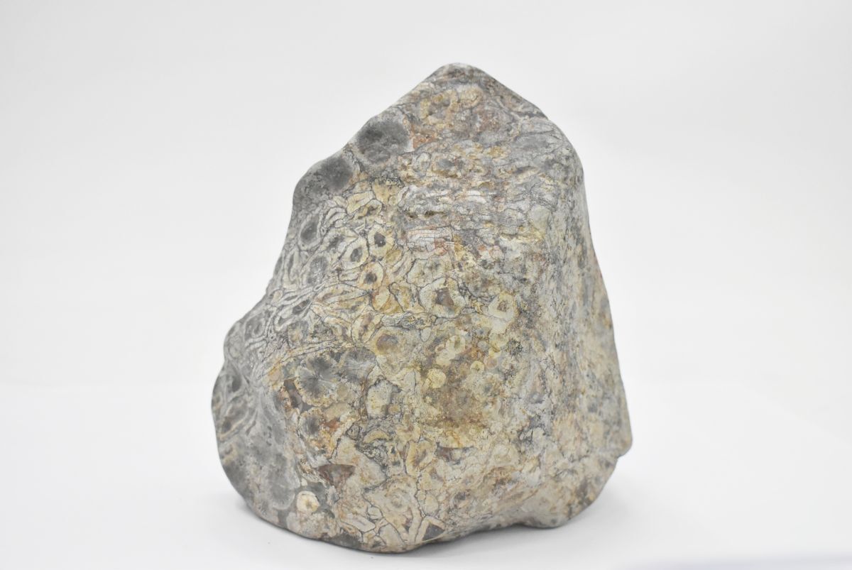 (801S 0515S4) 1 jpy ~ natural stone nature stone suiseki st appreciation stone raw ore antique antique interior objet d'art garden stone 