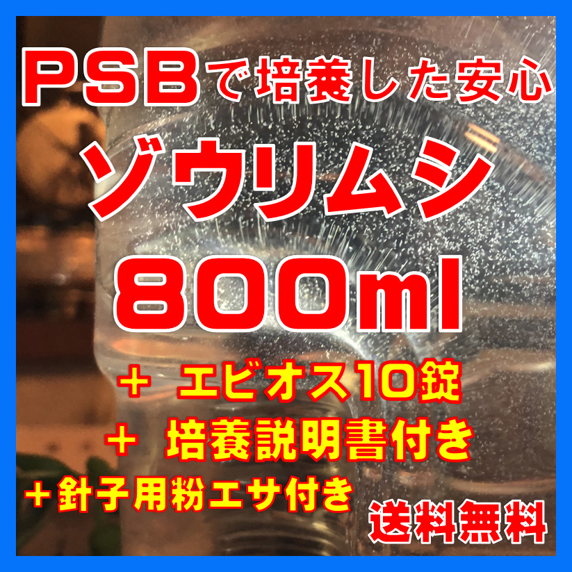 ★送料無料★PSBで培養したゾウリムシ種水800ml＋エビオス10錠＋培養説明書＋針子用粉エサ。_画像1