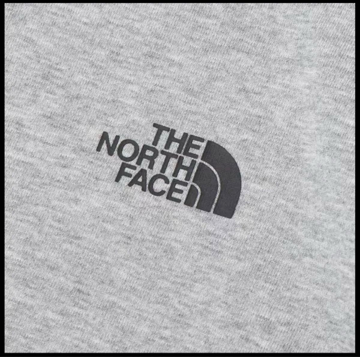 THE NORTH FACE BACK GRAPHIC PRINT 新作　ノースフェイス　Tシャツ　グラフィック　バックプリント