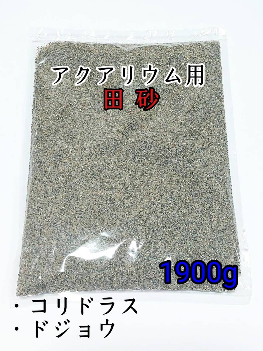 田砂 1.9kg コリドラス ドジョウ アクアリウム 水草_画像2