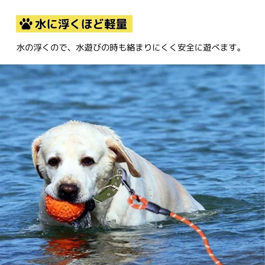 ☆送料無料☆ロングリード 15m 丸ロープ 犬 お散歩 ロープ 反射 強力 長いロープ キャンプ アウトドア　光る