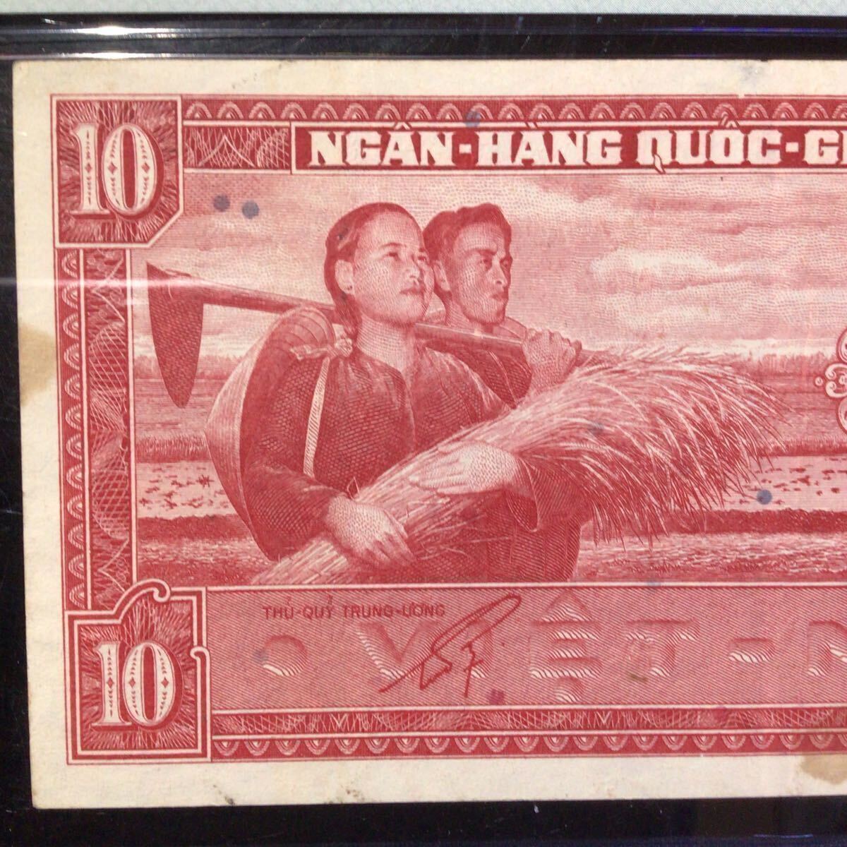 World Banknote Grading SOUTH VIET NAM《National Bank》10 Dong【1962】『PMG Grading Choice Very Fine 35』_画像3