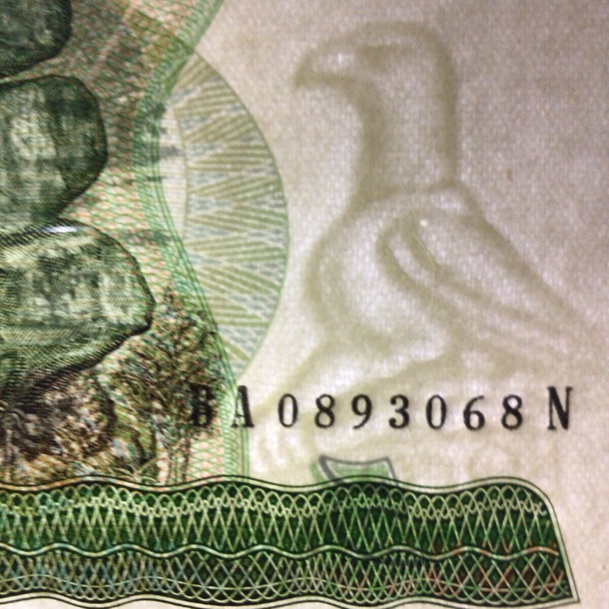 World Banknote Grading ZIMBABWE《Reserve Bank》5 Dollars【1983】『PMG Grading Superb Gem Uncirculated 67 EPQ』_画像3