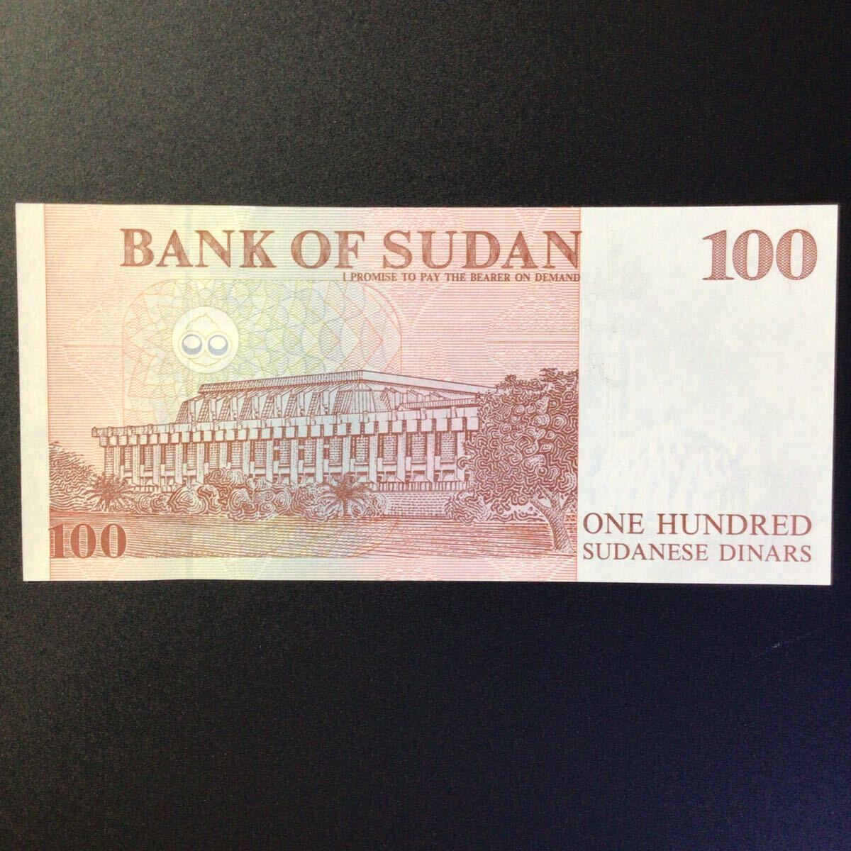 World Paper Money SUDAN 100 Dinars【1994】の画像2