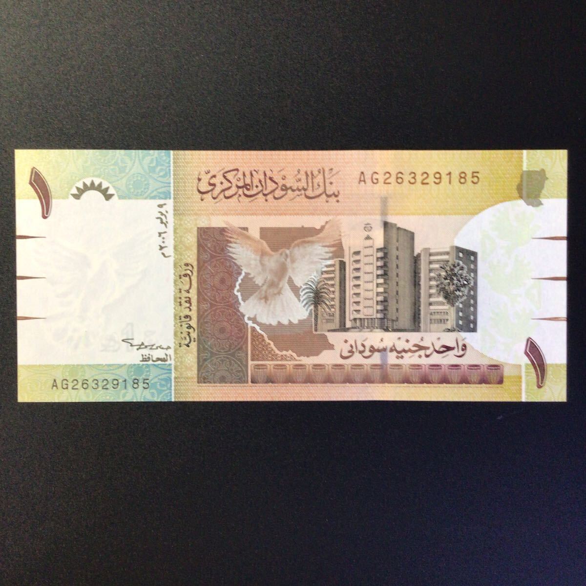 World Paper Money SUDAN 1 Pound【2006】の画像1