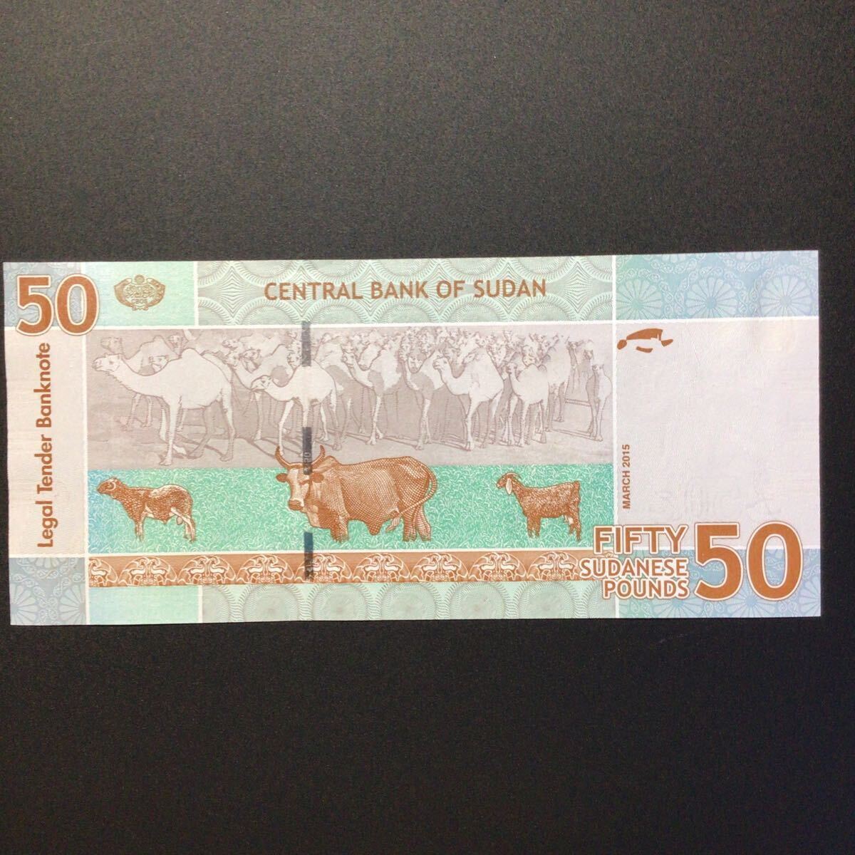 World Paper Money SUDAN 50 Pounds【2015】_画像2