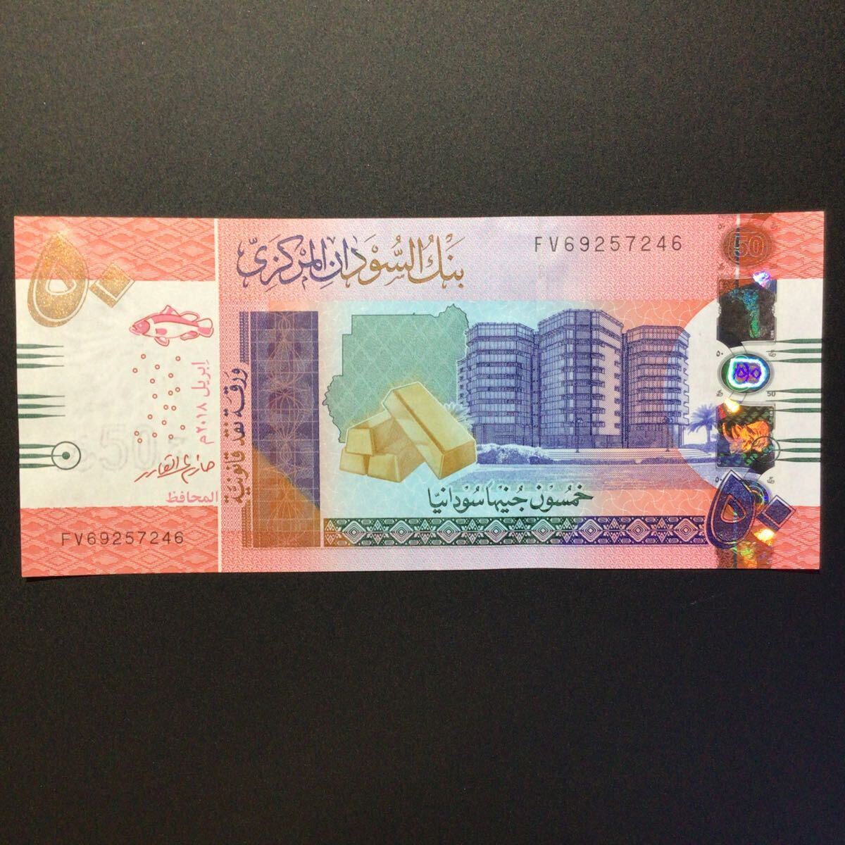 World Paper Money SUDAN 50 Pounds【2018】の画像1