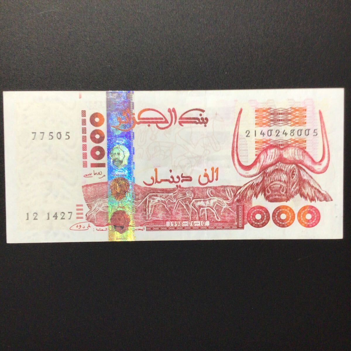 World Paper Money ALGERIA 1000 Dinars【1998】_画像1