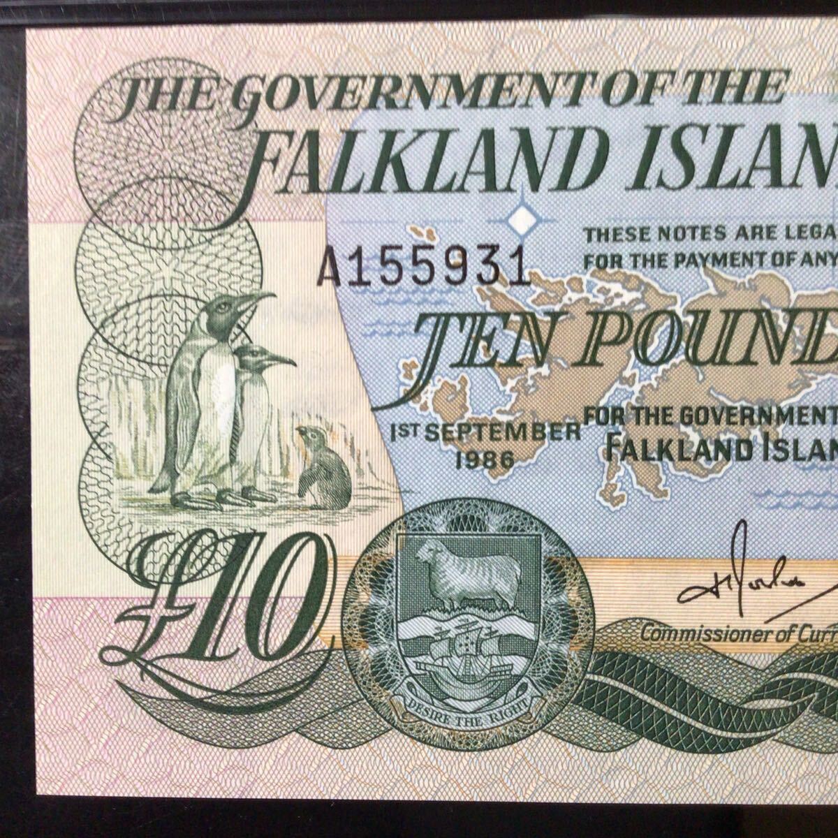 World Banknote Grading FALKLAND ISLANDS《 British Administration 》10 Pounds【1986】『PMG Grading About Uncirculated 55 EPQ』_画像3