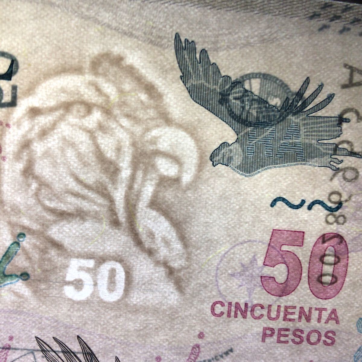 World Banknote Grading ARGENTINA《Banco Central》50 Pesos【2018】『PMG Grading Gem Uncirculated 66 EPQ』_画像3