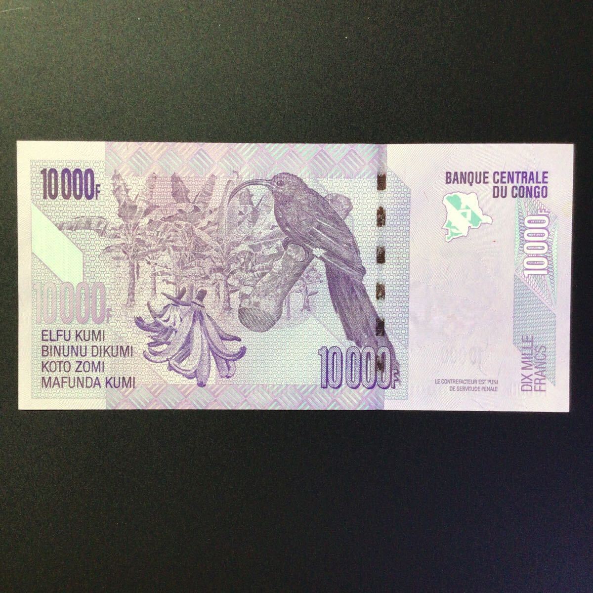 World Paper Money CONGO DEMOCRATIC REPUBLIC 10000 Francs[2006](SPECIMEN)