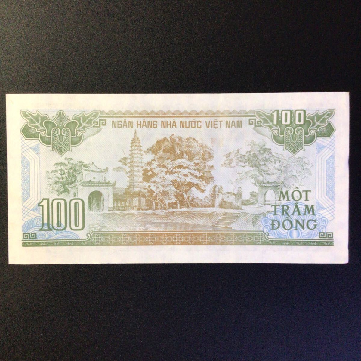 World Paper Money VIE NAM 100 Dong[1991]