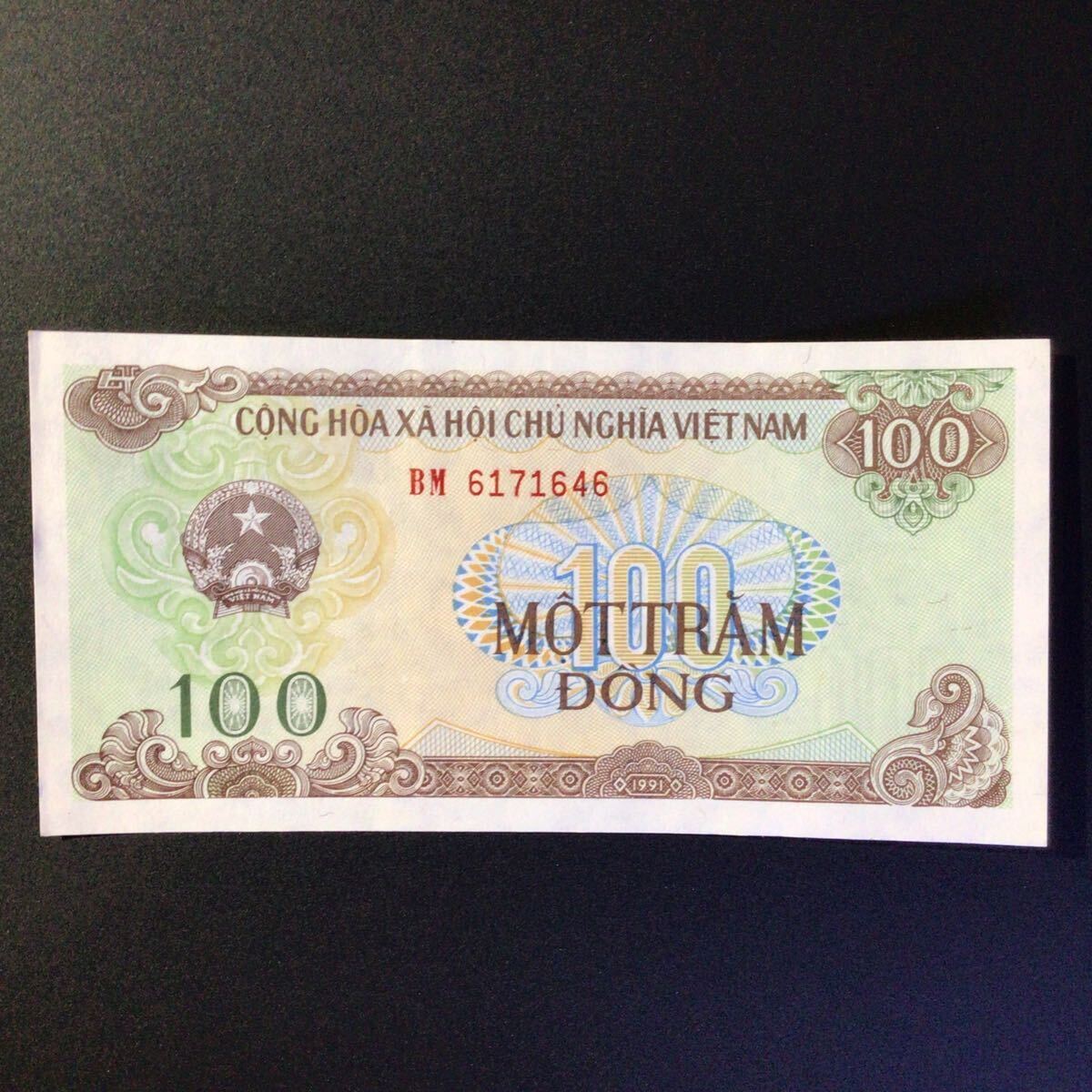 World Paper Money VIE NAM 100 Dong[1991]