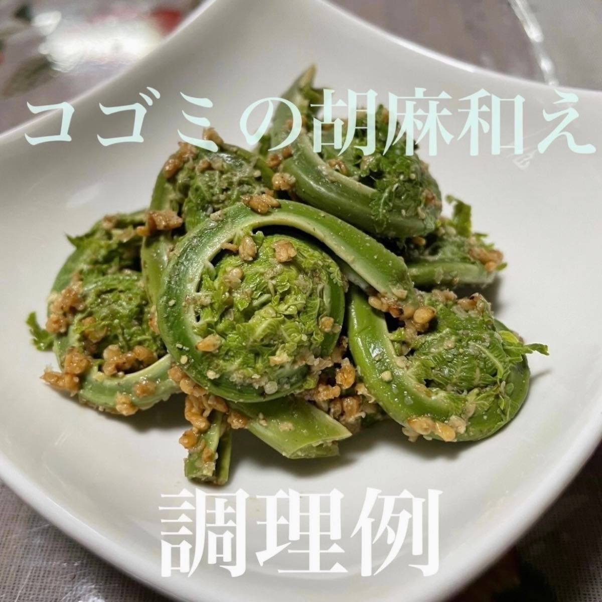 山形県産 コゴミ塩漬け 900g  塩蔵　こごみ　山菜　野菜