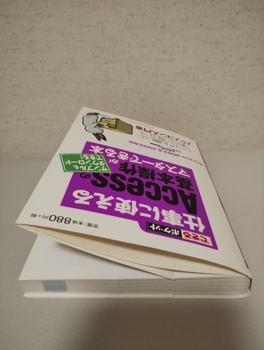 仕事に使えるＡｃｃｅｓｓの基本操作がマスターできる本 （できるポケット） 広野忠敏／著　できるシリーズ編集部／著