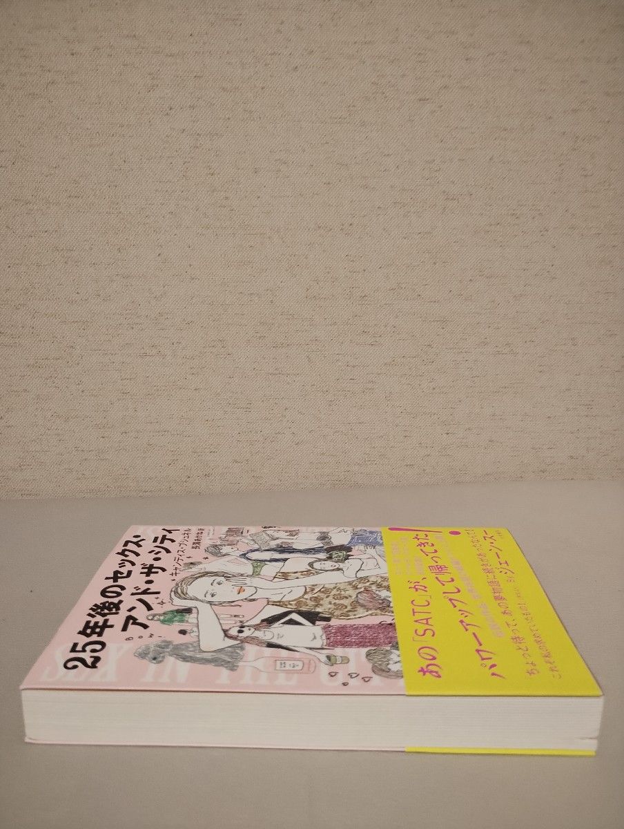 ２５年後のセックス・アンド・ザ・シティ キャンディス・ブシュネル／著　長澤あかね／訳