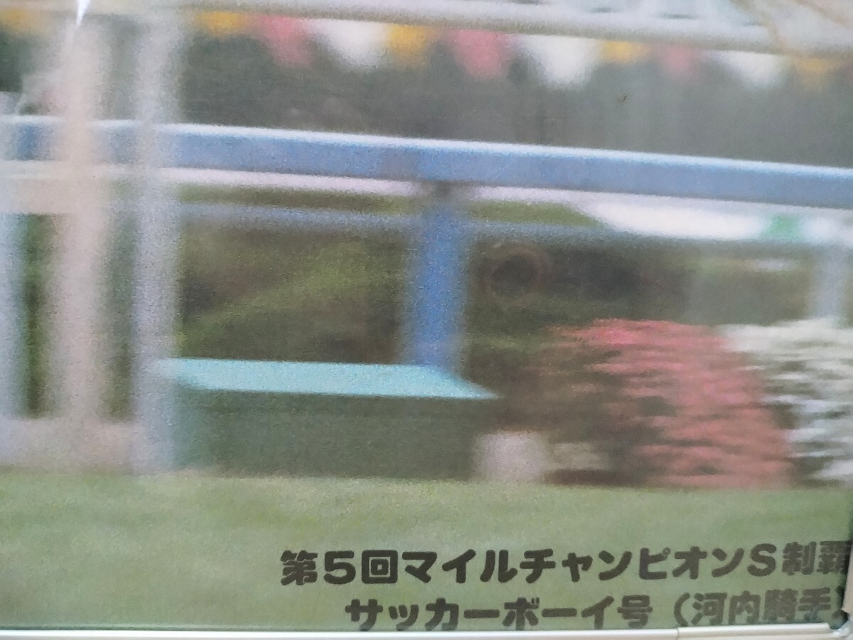 【1円スタート】競馬 オグリキャップ 武豊騎手 サッカーボーイ 河内騎手 額入 サイン 安田記念 マイルチャンピオン _画像4