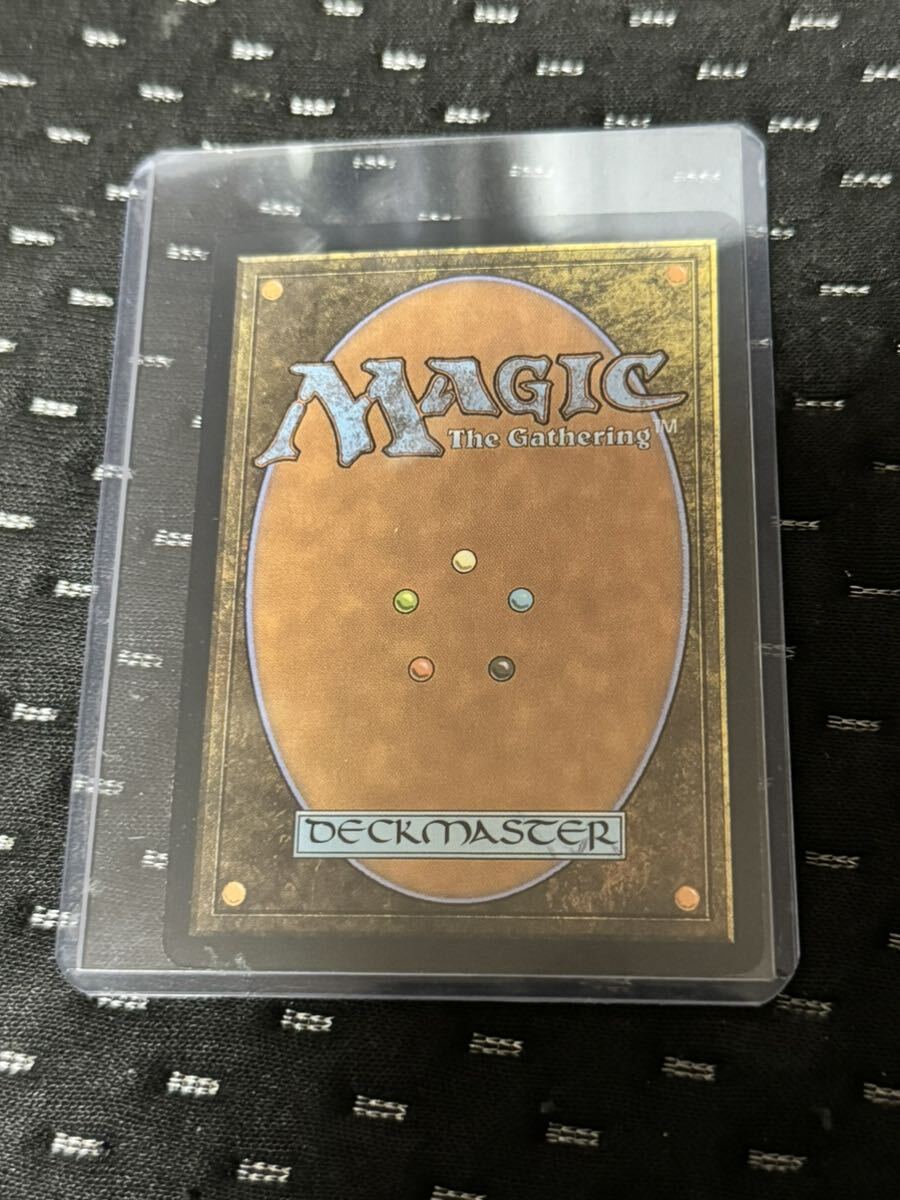 mtg マジック・ザ・ギャザリング 指輪物語 力の指輪 展示用 キラ mtg マジック・ザ・ギャザリング 指輪物語 力の指輪 展示用 キラ