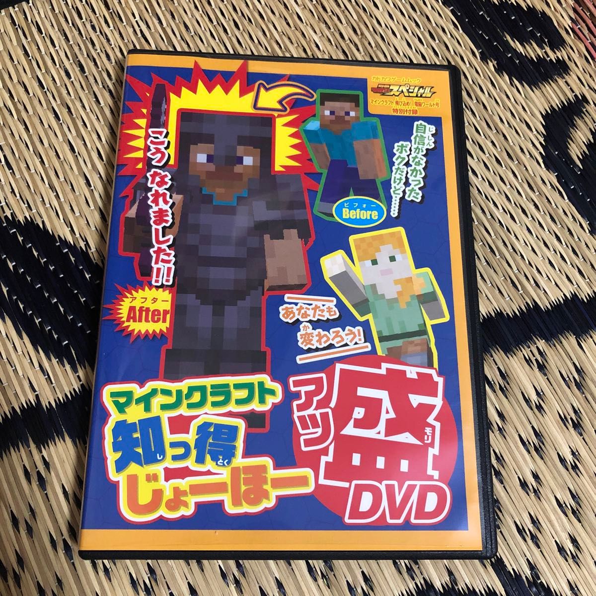 別冊てれびげーむ スペシャル マイクラDVDセット