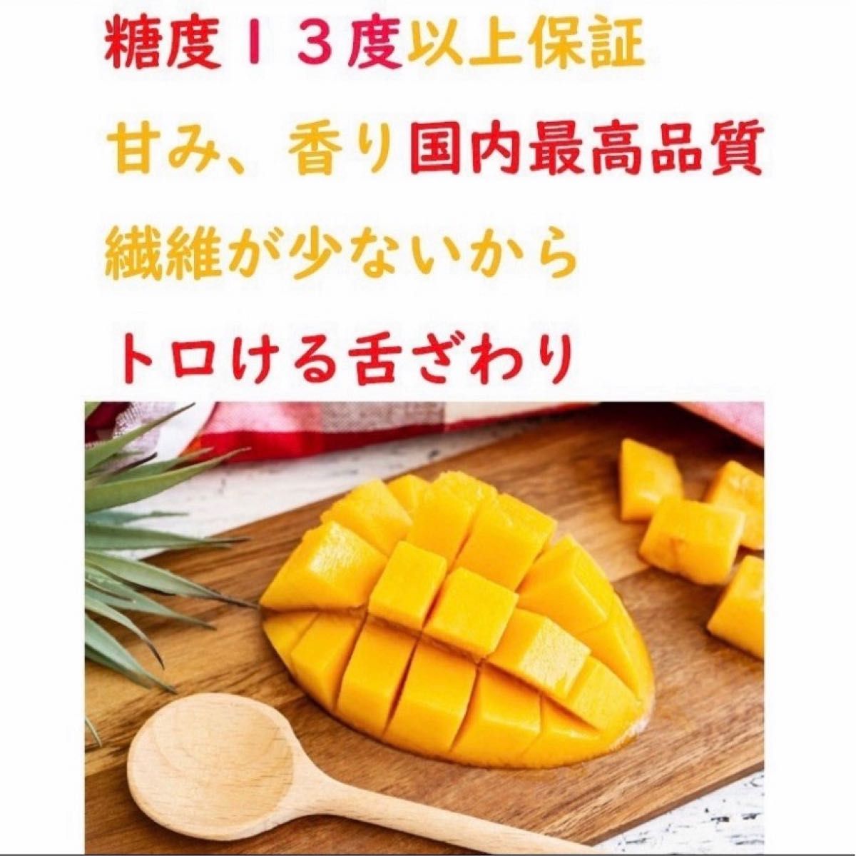 宮崎県産完熟マンゴーLサイズ6玉1.9kg以上