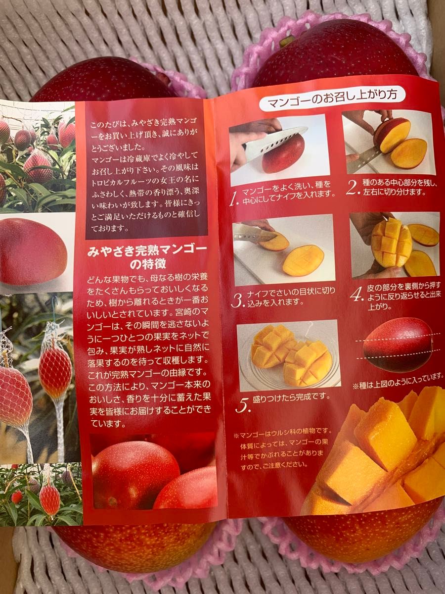 宮崎県産　完熟マンゴー　Lサイズ4玉　1.2kg以上　贈答品　日付指定OK 指定日OK