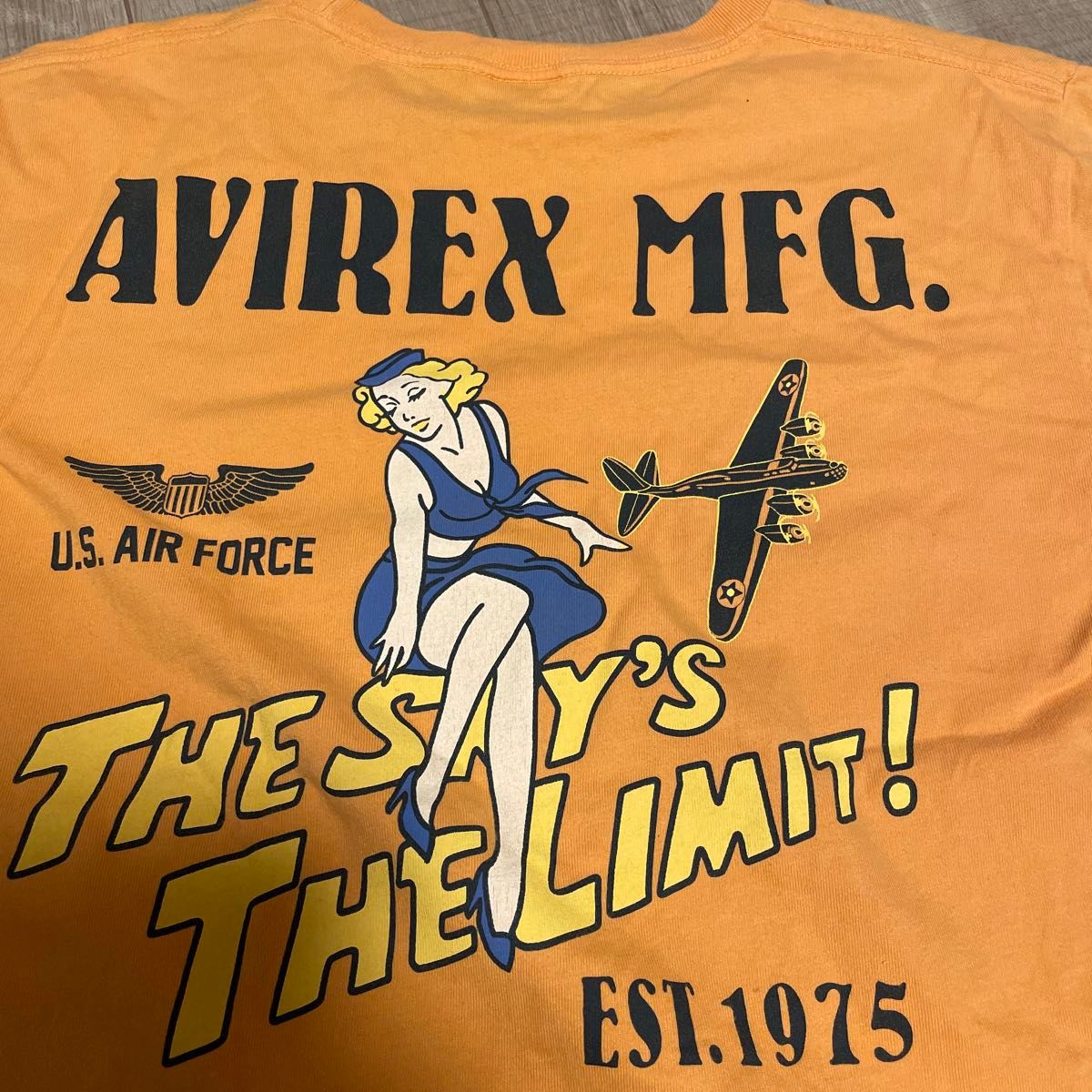AVIREX MFG アヴィレックス　U.S.AIR FORCE 両面プリント　Tシャツ  L