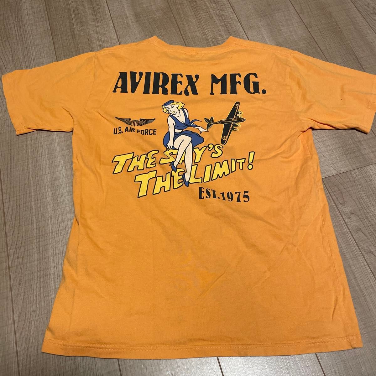 AVIREX MFG アヴィレックス　U.S.AIR FORCE 両面プリント　Tシャツ  L