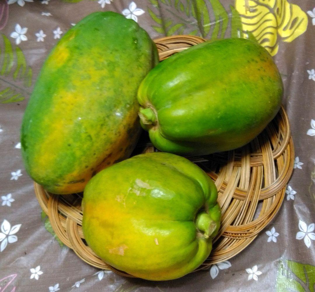  Okinawa main island north part .... production direct fruit papaya 1.5. less pesticide!