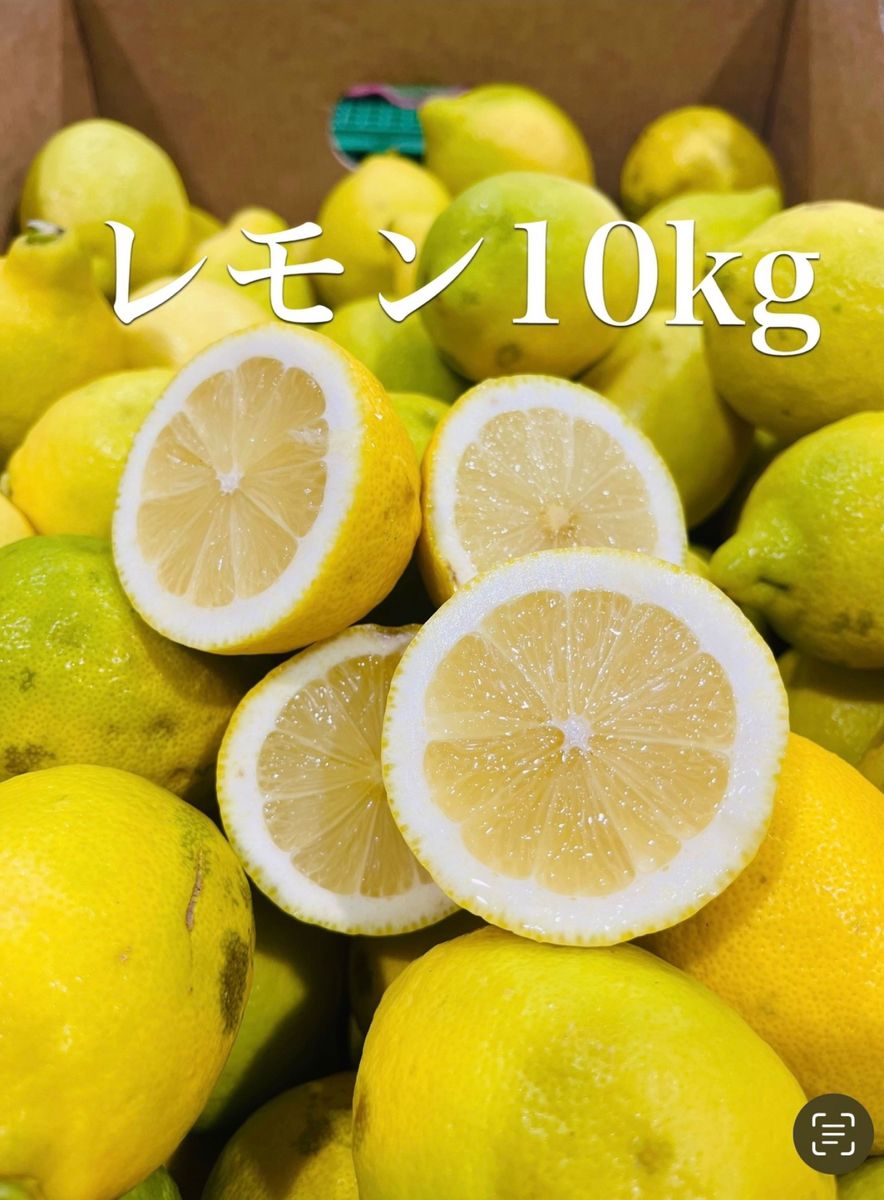 レモン　ノンケミレモン　10kg