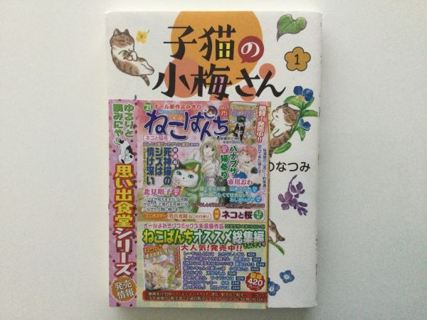 レビュー高評価の商品!の商品をすべて 即》江の島ワイキキ食堂&キジトラ猫の小梅さん&子猫の小梅さん 青年