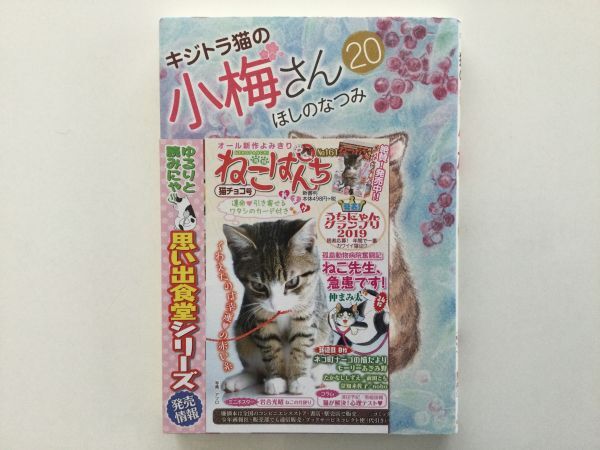 最新人気 即》江の島ワイキキ食堂&キジトラ猫の小梅さん&子猫の小梅さん 青年