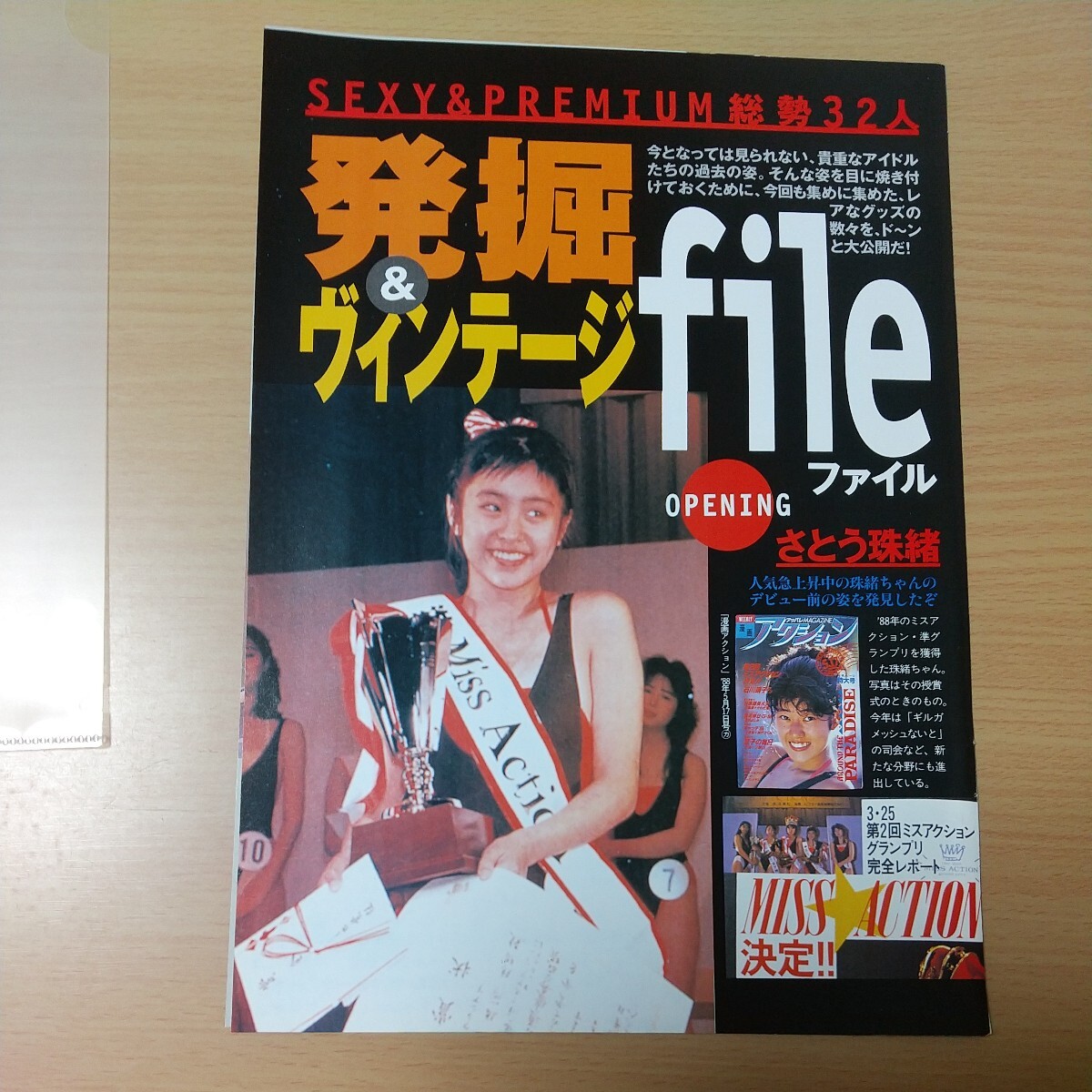 1-517 発掘＆ヴィンテージ画像ファイル　さとう珠緒　松下由樹　田中美奈子　和久井映見　鈴木紗理奈　澤岻菜々子　浅香唯　石田ゆり子_画像10