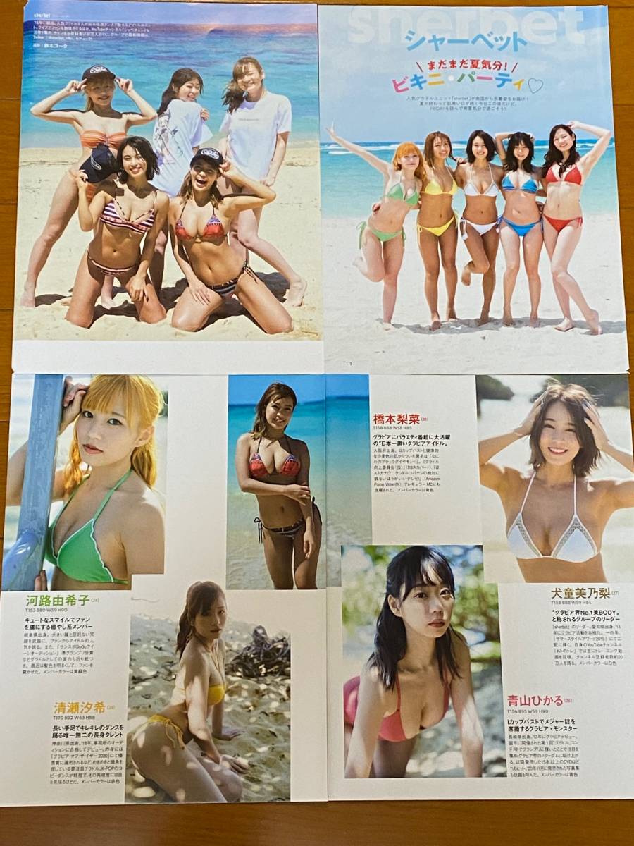 ◆即決◆　葉月あや．橋本梨菜．森咲智美．HOSHINO．犬童美乃梨．青山ひかる．河路由希子．清瀬汐希　切り抜き１１Ｐ_画像3