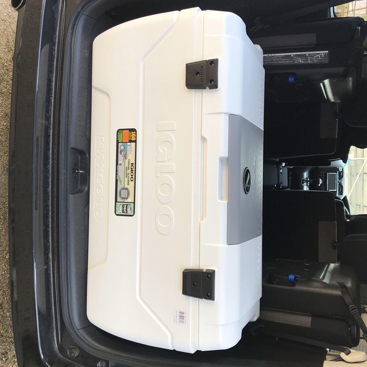 igloo maxcold 156l