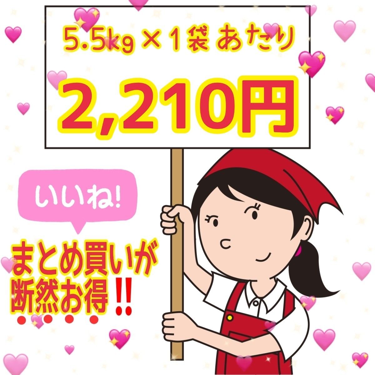 ★生活応援１０％(１kg)増量★令和５年産秋田県産あきたこまち５０％使用 ｢あきたこまちブレンド白米｣合計（１１kg）送料込み★