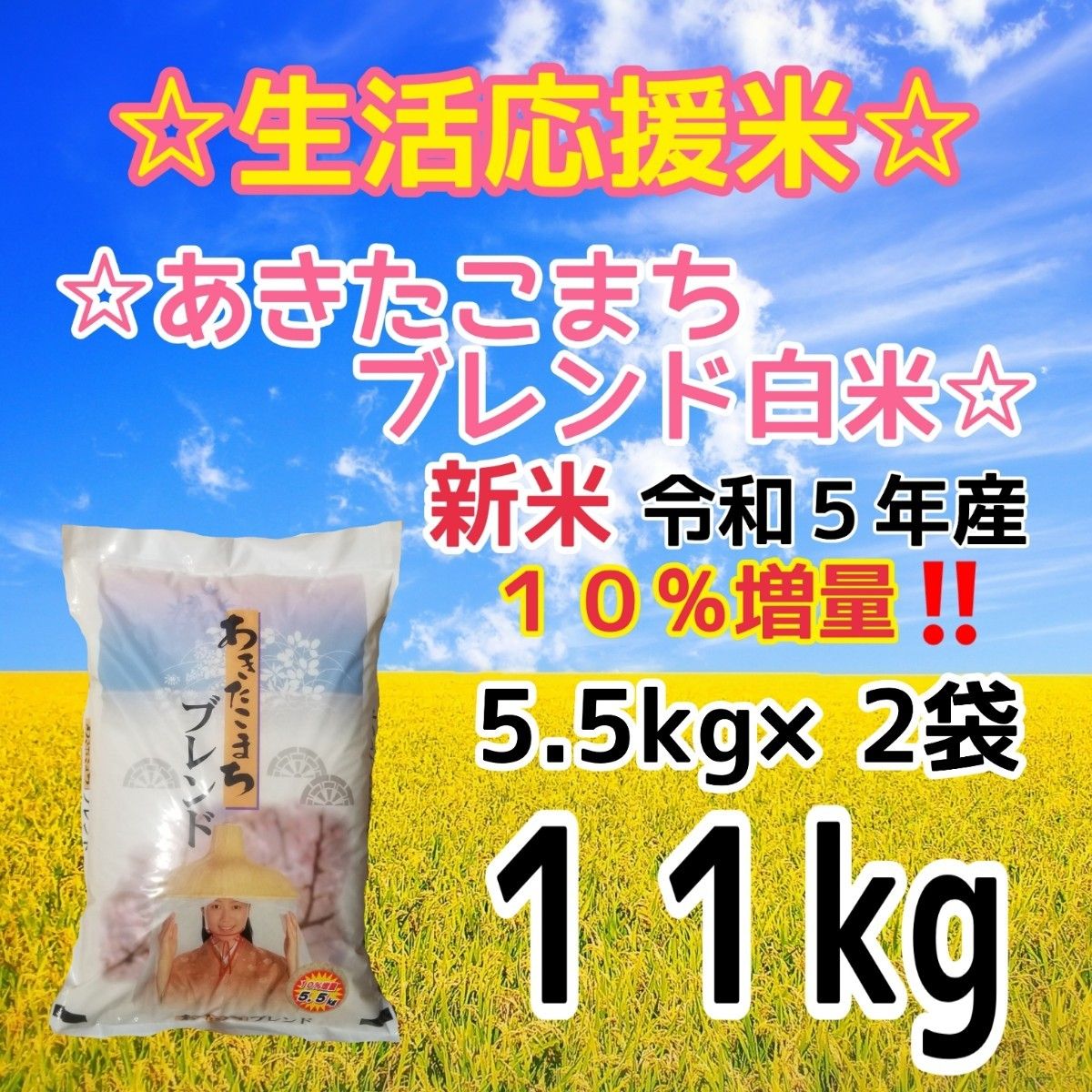 ★生活応援１０％(１kg)増量★令和５年産秋田県産あきたこまち５０％使用 ｢あきたこまちブレンド白米｣合計（１１kg）送料込み★