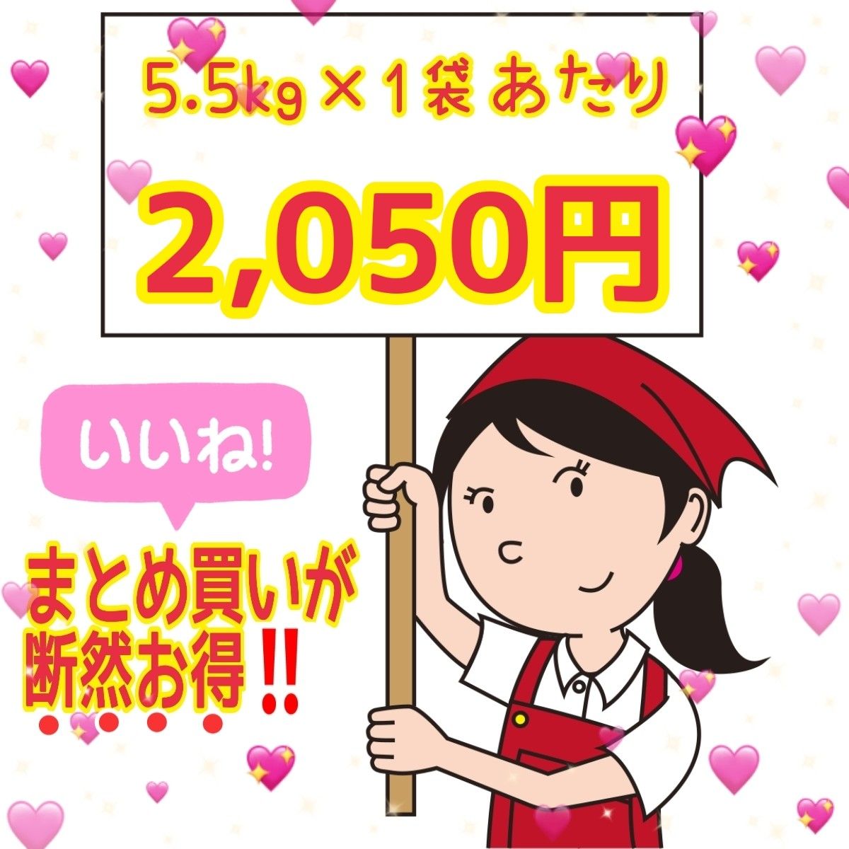 ★生活応援１０％(２kg)増量★令和５年産秋田県産あきたこまち５０％使用 ｢あきたこまちブレンド白米｣合計（２２kg）送料込み★