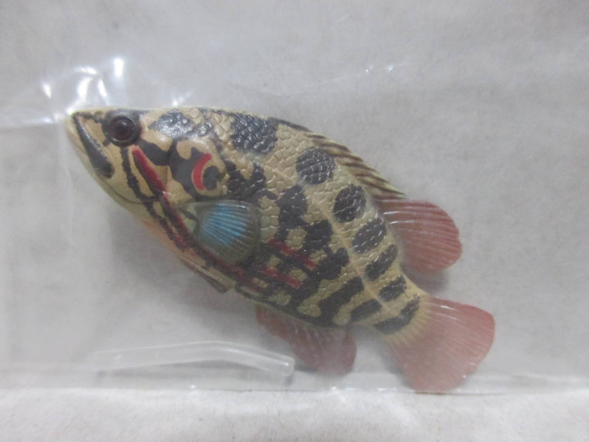 ヤフオク 原色淡水魚図鑑 2 初版 オヤニラミ 魚 淡水魚