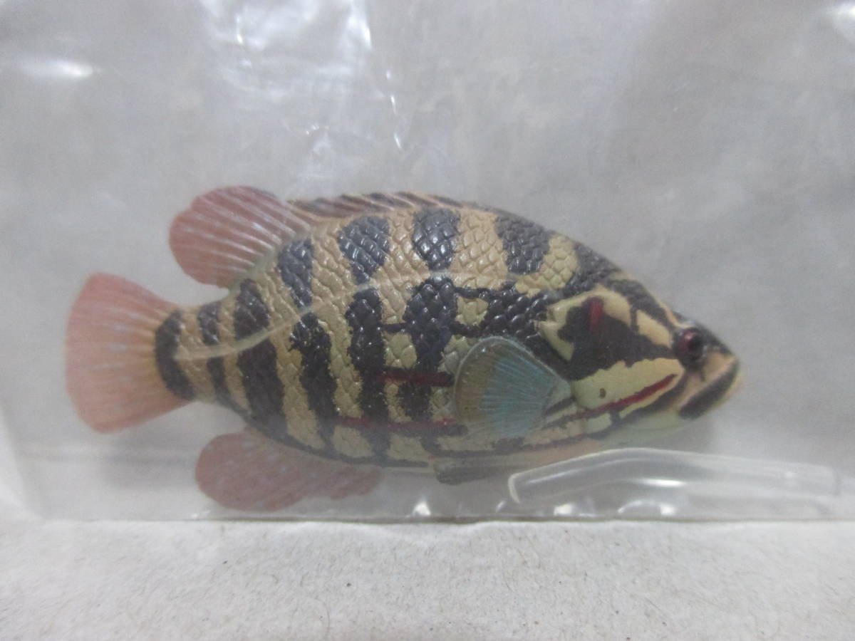 ヤフオク 原色淡水魚図鑑 2 初版 オヤニラミ 魚 淡水魚